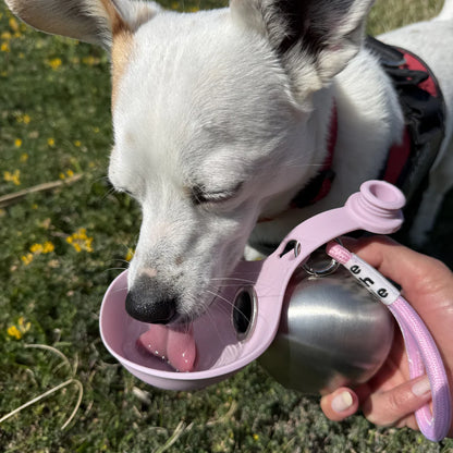2-in-1 pet water bottle and bowl