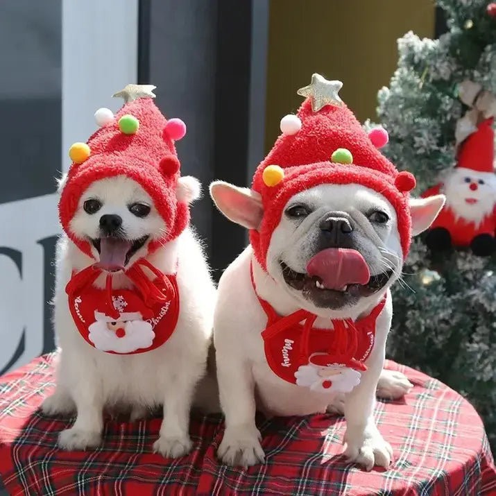 Christmas Cute Hat and Towel For Pets
